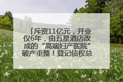 斥资11亿元，开业仅6年，由五星酒店改成的“高端妇产医院”破产重整！登记债权总额已超17亿元
