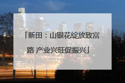 新田：山银花绽放致富路 产业兴旺促振兴