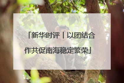 新华时评丨以团结合作共促南海稳定繁荣