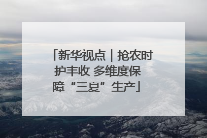 新华视点｜抢农时 护丰收 多维度保障“三夏”生产