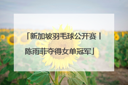 新加坡羽毛球公开赛丨陈雨菲夺得女单冠军