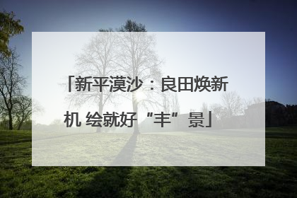 新平漠沙：良田焕新机 绘就好“丰”景