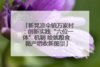 新晃凉伞镇万家村：创新实践“六位一体”机制 绘就粮食稳产增收新图景