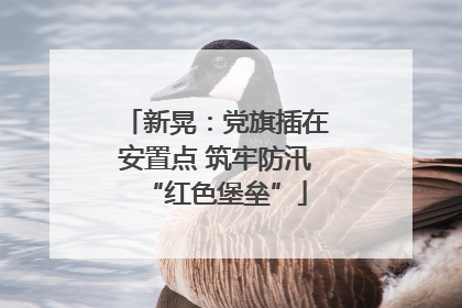 新晃：党旗插在安置点 筑牢防汛“红色堡垒”
