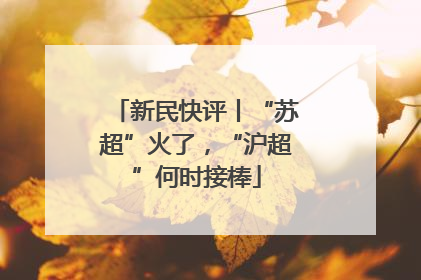 新民快评丨“苏超”火了，“沪超”何时接棒