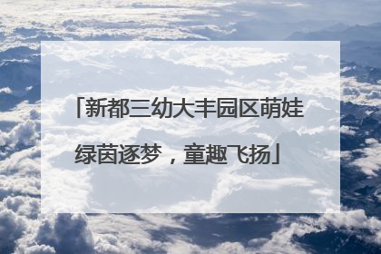新都三幼大丰园区萌娃绿茵逐梦，童趣飞扬