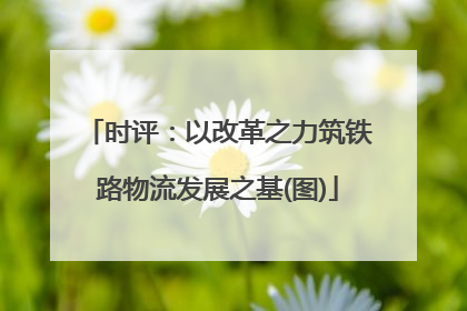 时评：以改革之力筑铁路物流发展之基(图)