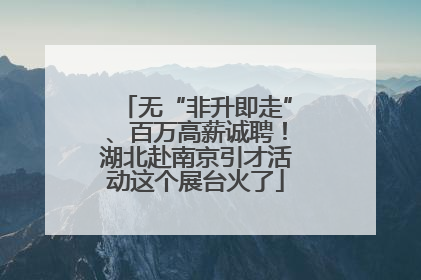 无“非升即走”、百万高薪诚聘！湖北赴南京引才活动这个展台火了