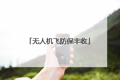 无人机飞防保丰收