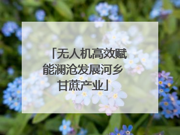 无人机高效赋能澜沧发展河乡甘蔗产业