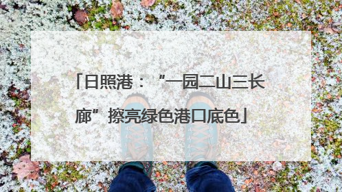 日照港：“一园二山三长廊”擦亮绿色港口底色