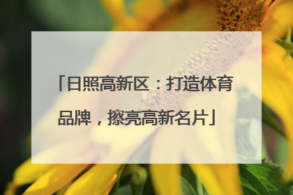 日照高新区：打造体育品牌，擦亮高新名片