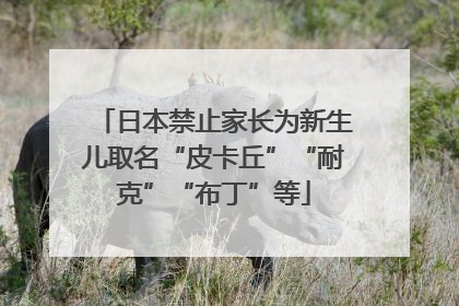日本禁止家长为新生儿取名“皮卡丘”“耐克”“布丁”等