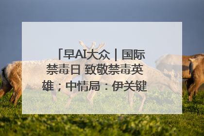 早AI大众｜国际禁毒日 致敬禁毒英雄；中情局：伊关键核设施被摧毁