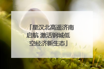 星汉北高遥济南启航 激活钢城低空经济新生态