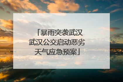 暴雨突袭武汉 武汉公交启动恶劣天气应急预案