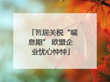 暂居关税“喘息期” 欧盟企业忧心忡忡