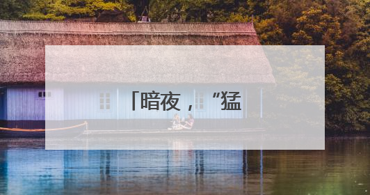 暗夜，“猛龙”出击！