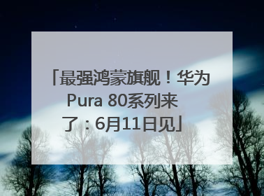 最强鸿蒙旗舰！华为Pura 80系列来了：6月11日见