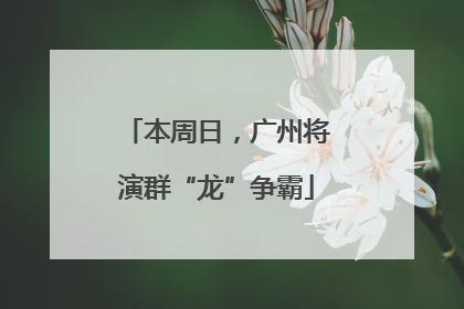 本周日，广州将演群“龙”争霸
