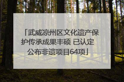 武威凉州区文化遗产保护传承成果丰硕 已认定公布非遗项目64项