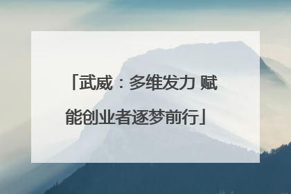 武威：多维发力 赋能创业者逐梦前行