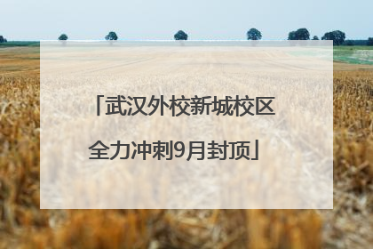 武汉外校新城校区全力冲刺9月封顶