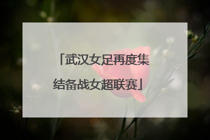 武汉女足再度集结备战女超联赛