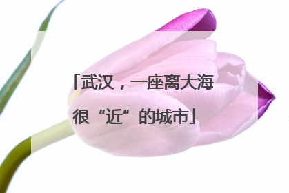 武汉，一座离大海很“近”的城市