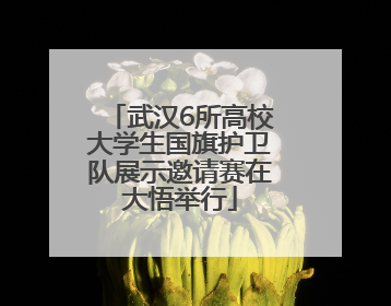武汉6所高校大学生国旗护卫队展示邀请赛在大悟举行
