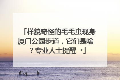 样貌奇怪的毛毛虫现身厦门公园步道，它们是啥？专业人士提醒→