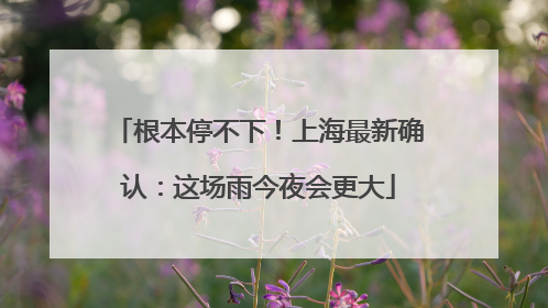 根本停不下！上海最新确认：这场雨今夜会更大