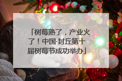 树莓熟了，产业火了！中国·封丘第十届树莓节成功举办