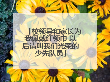 校领导和家长为我佩戴红领巾 以后请叫我们光荣的少先队员