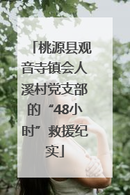 桃源县观音寺镇会人溪村党支部的“48小时”救援纪实