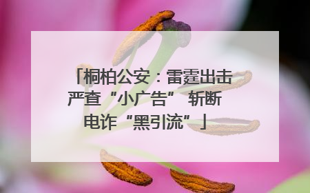 桐柏公安：雷霆出击严查“小广告” 斩断电诈“黑引流”
