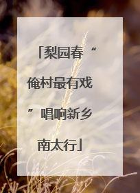 梨园春“俺村最有戏”唱响新乡南太行