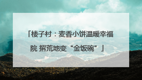 楼子村：麦香小饼温暖幸福院 撂荒地变“金饭碗”