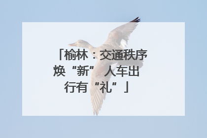 榆林：交通秩序焕“新” 人车出行有“礼”