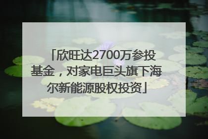 欣旺达2700万参投基金，对家电巨头旗下海尔新能源股权投资