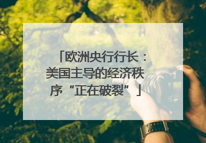 欧洲央行行长：美国主导的经济秩序“正在破裂”