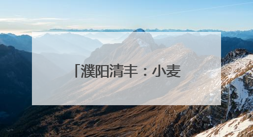 濮阳清丰：小麦丰收季 “一条龙”作业开启农业高效新篇章