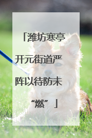 潍坊寒亭开元街道严阵以待防未“燃”
