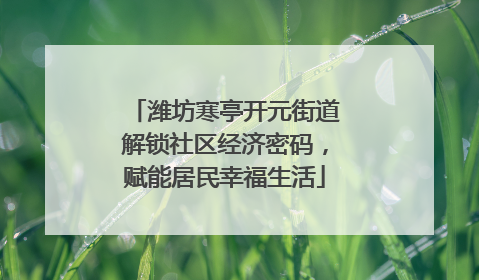 潍坊寒亭开元街道解锁社区经济密码，赋能居民幸福生活