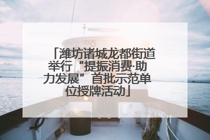 潍坊诸城龙都街道举行“提振消费·助力发展”首批示范单位授牌活动