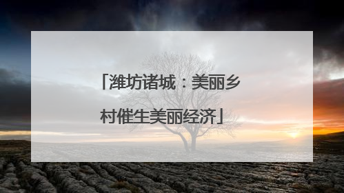 潍坊诸城：美丽乡村催生美丽经济