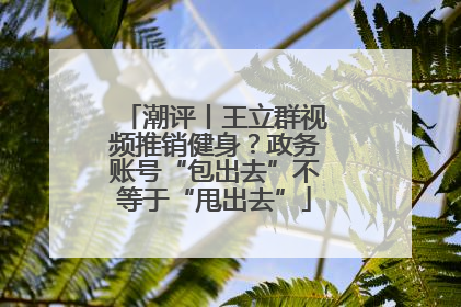 潮评丨王立群视频推销健身？政务账号“包出去”不等于“甩出去”