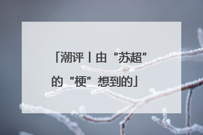 潮评丨由“苏超”的“梗”想到的
