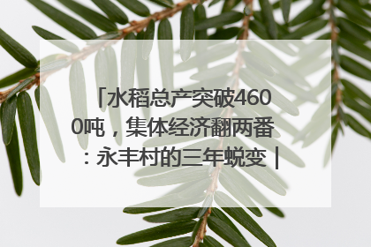 水稻总产突破4600吨，集体经济翻两番：永丰村的三年蜕变｜您牵挂的四川