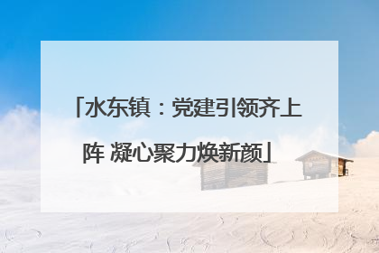 水东镇：党建引领齐上阵 凝心聚力焕新颜